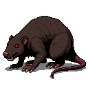Bog rat