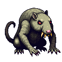 Old Greywhisker